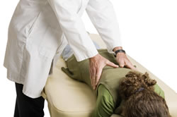 Arlington WA Chiropractor 